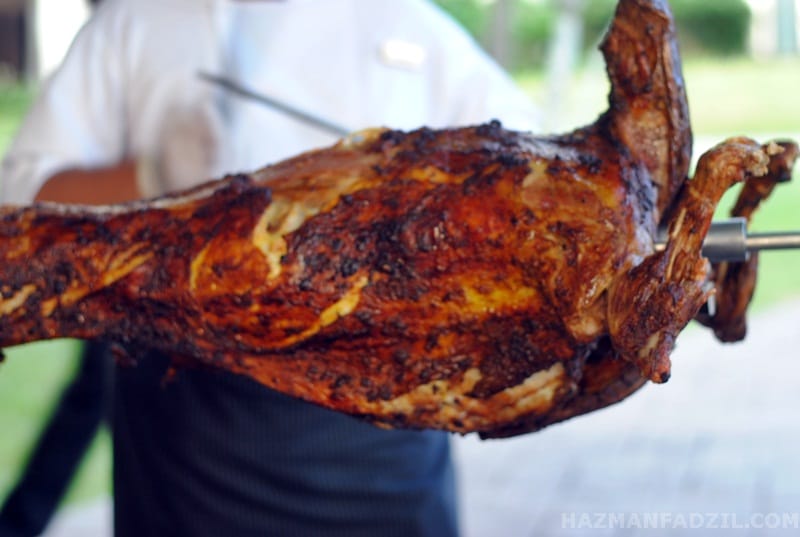 kambing golek